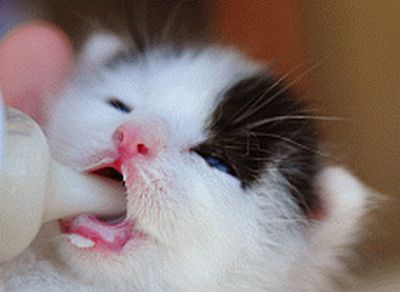 気分を変えて~♪
