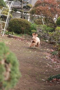 誰が速い？？