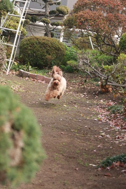 誰が速い？？