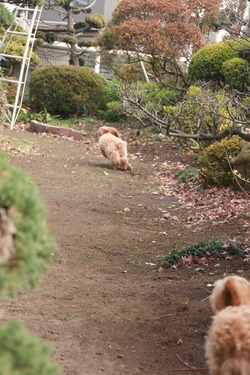 誰が速い？？