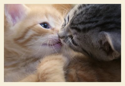 スキスキ♥