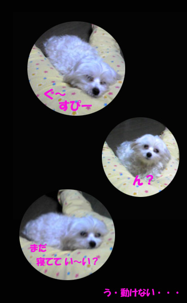 ☆う・動けない~^^;
