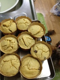 もち粉ケーキ(＾ー^)ノ