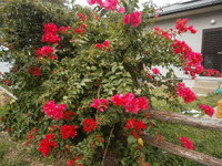 2011年11月20日