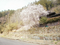 2011年04月21日