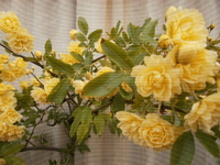 2011年04月21日