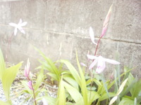 2011年04月24日
