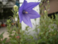 2011年05月29日