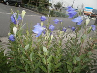 2011年06月10日