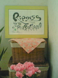 足踏みトリートメント　Ｒｉｐｎｅｓｓ　♪　はじまり　♪