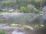 そうだ湯布院に行こう。。。