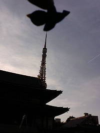 東京の旅その3