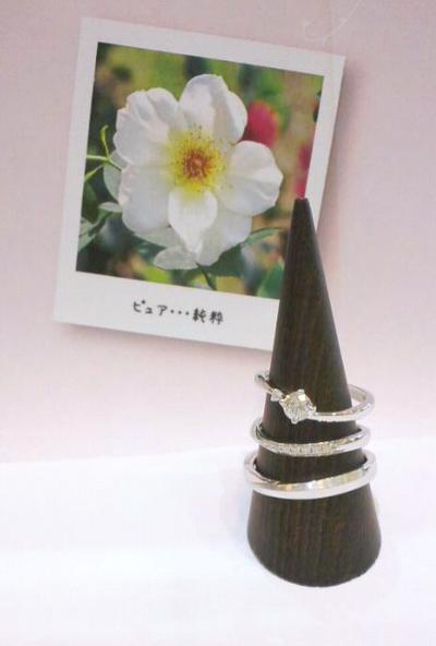 COLANY新作Ⅲ