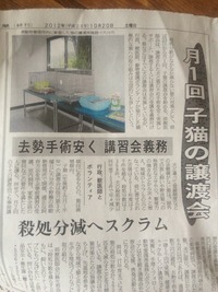 大分市で子猫の譲渡会が始まりました＋＋＋