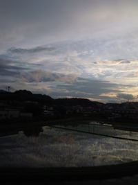 田んぼと夕暮れ+++