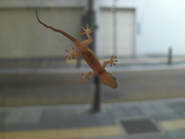 悲惨な男。