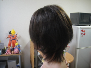 総集編。