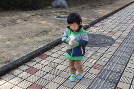 陽気なお昼。
