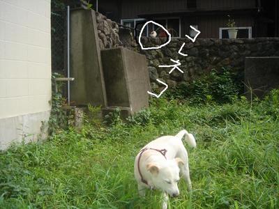 おめでとう!