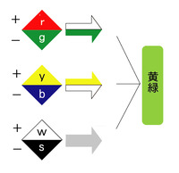 『ＮＣＳ』表色系　前半