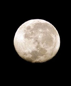私はmoonが好き♪