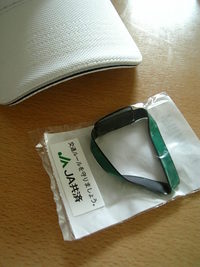 ウォーキング再開