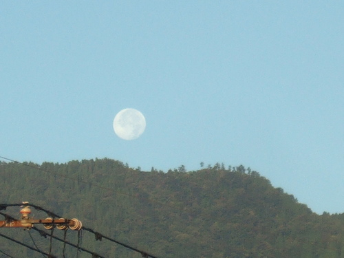 十六日の月