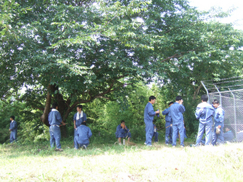 除草作業とPAT活動