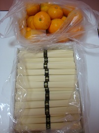 そうめんチャンプルーw(ll`Ω´;)w