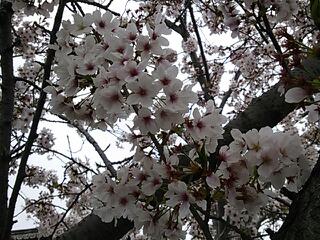 新学期、初のお仕事