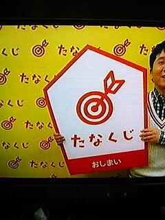 みんこの癒し