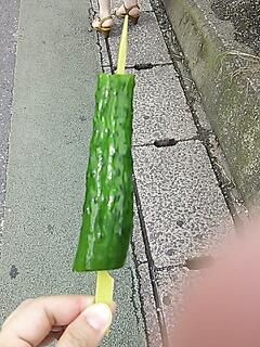 続 研修旅行