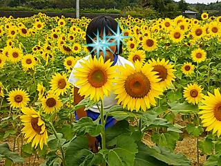 真夏にタイムスリップ