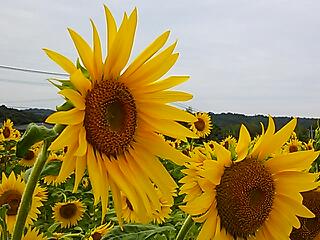 真夏にタイムスリップ