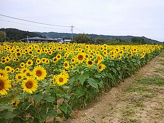 真夏にタイムスリップ
