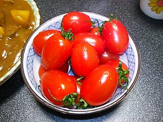 無性にカレー