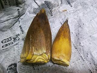 収穫