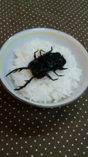 2012年07月22日