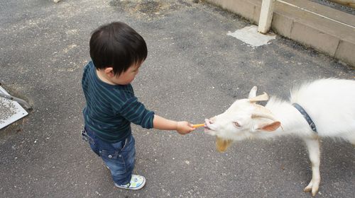 遠足。