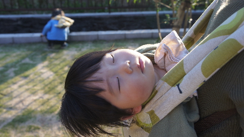 お庭。