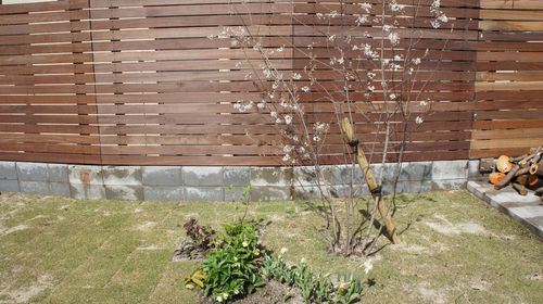 花・花・花・・・。