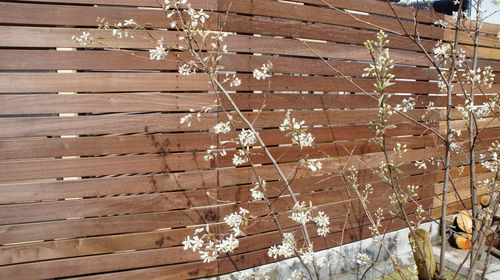 花・花・花・・・。