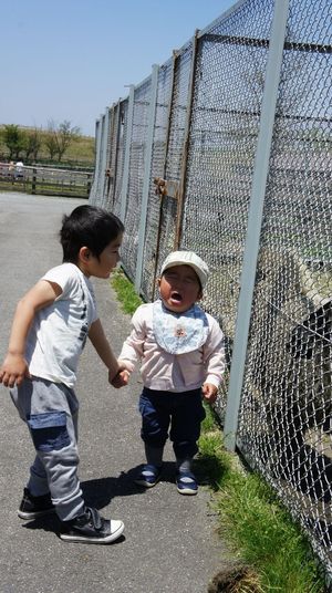 最終日。