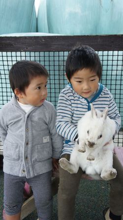 やまなみ牧場&花公園。