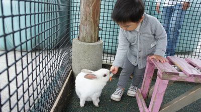 やまなみ牧場&花公園。