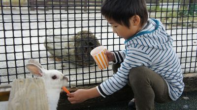 やまなみ牧場&花公園。