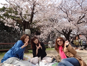 城址公園で花見。