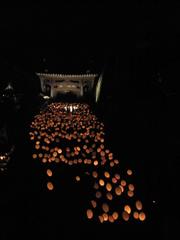 臼杵竹宵。2011。