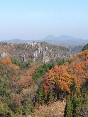 玖珠町散策～別府ｈａｎａのモンブラン