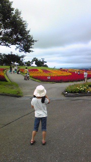 花公園に